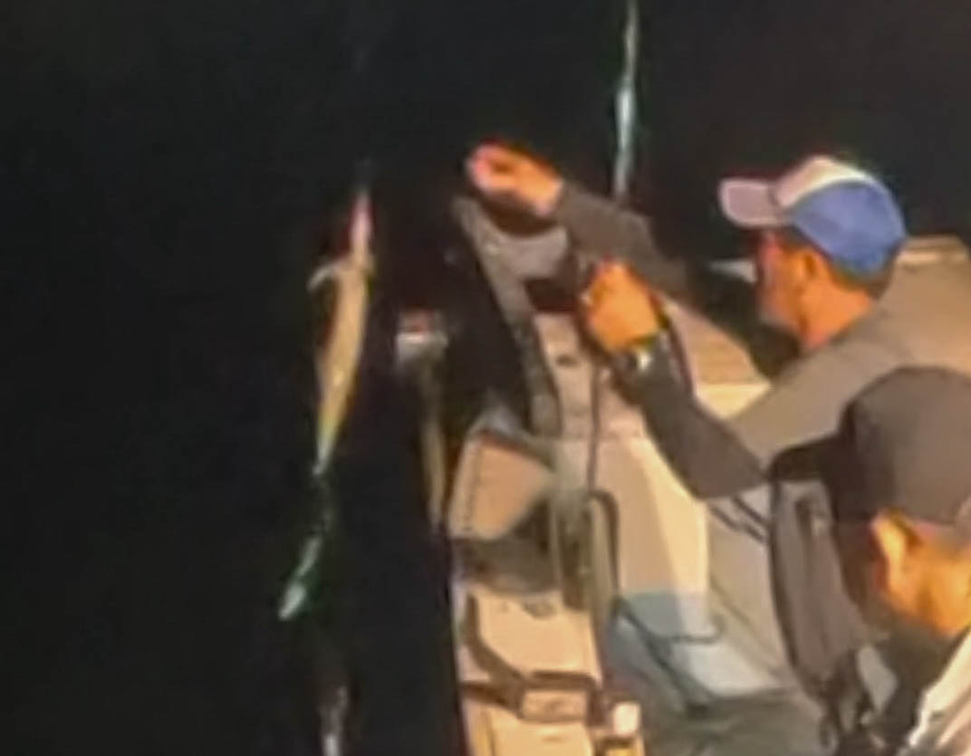 おめでとうございます